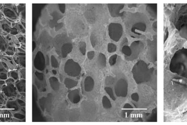 Micro-CT Studies on 3D Bioactive Glass-Ceramic Scaffolds for Bone Regeneration
